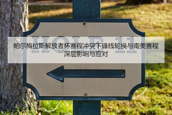 pa-er-mei-la-si-jie-fang-zhe-bei-sai-cheng-chong-tu-xia-feng-xian-lun-huan-yu-nan-mei-sai-cheng-shen-ceng-ying-xiang-yu-1-173.jpg